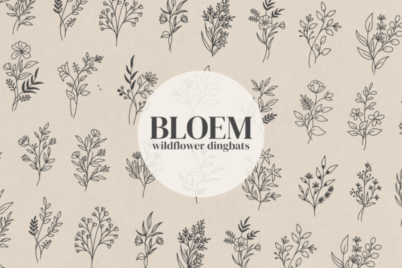 Bloem: A Beautifully Unique Wildflower Dingbats Font